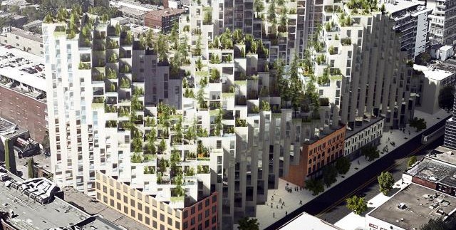 Ottawa Homes Condos Realtor